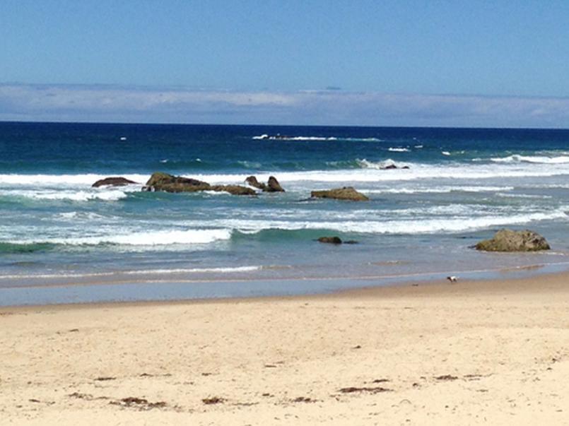 Oxley Cove Holiday Apartment Port Macquarie Ngoại thất bức ảnh
